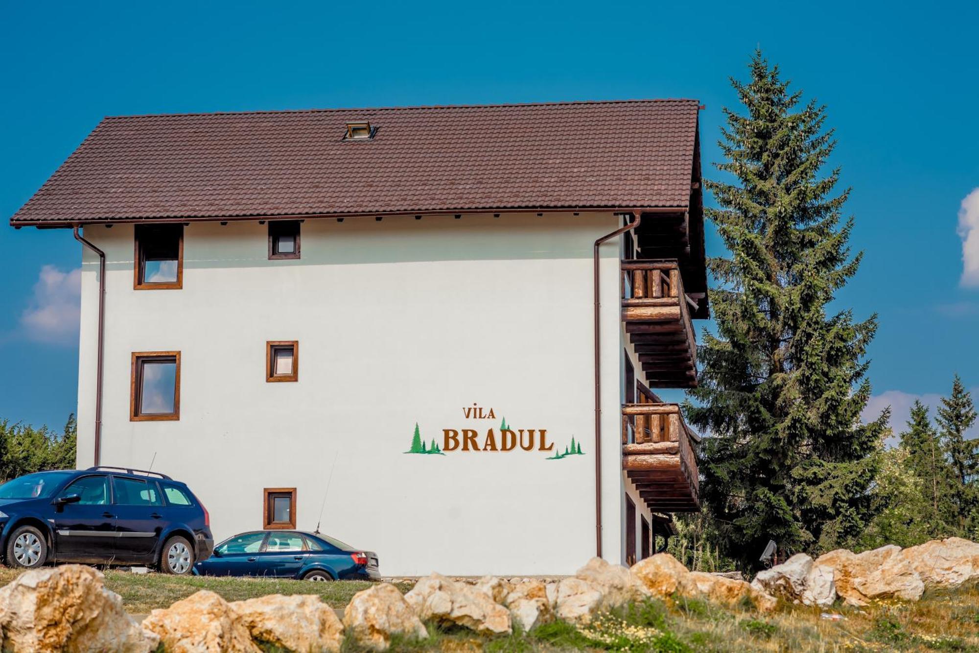Cheile Gradistei Fundata Resort Екстериор снимка