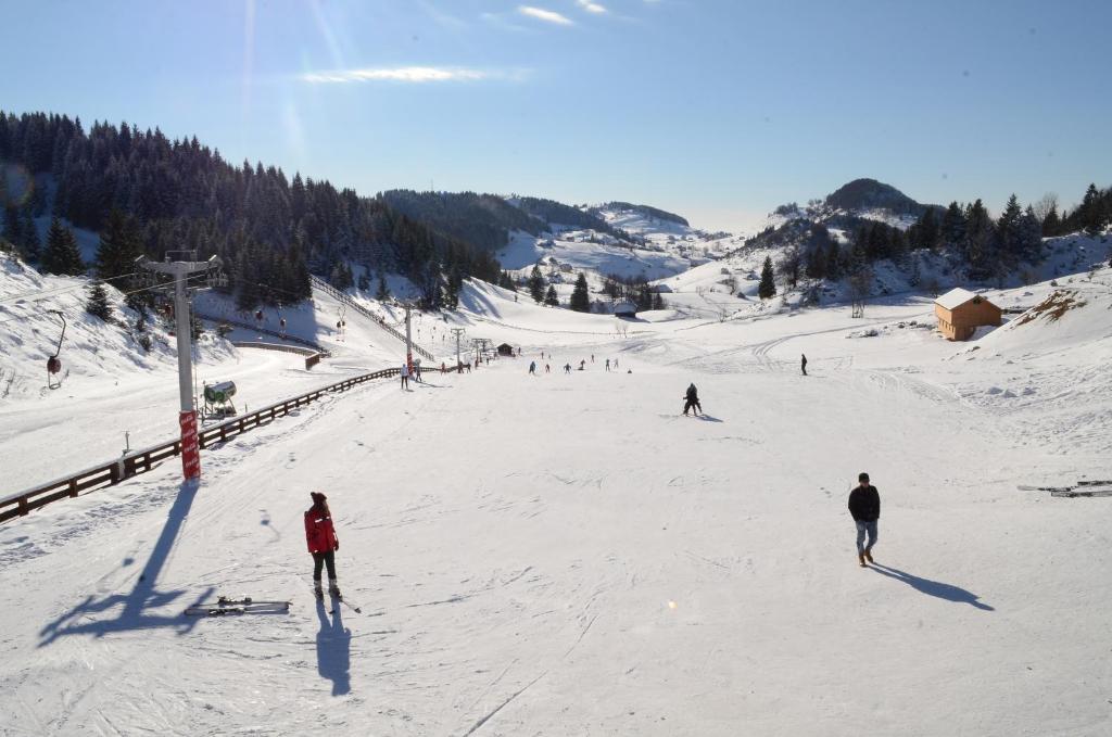 Cheile Gradistei Fundata Resort Екстериор снимка