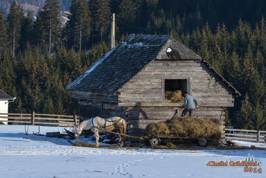 Cheile Gradistei Fundata Resort Екстериор снимка