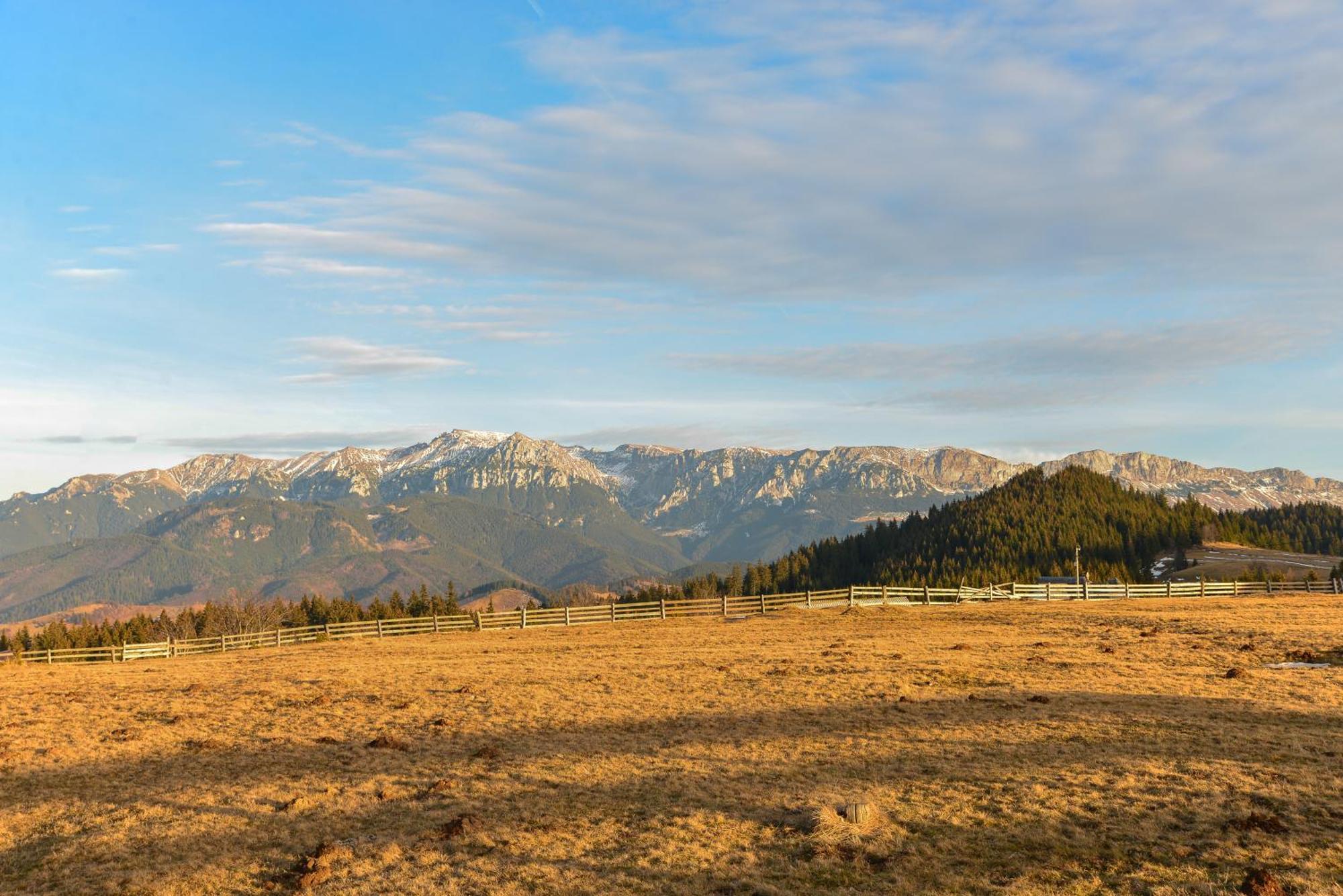 Cheile Gradistei Fundata Resort Екстериор снимка