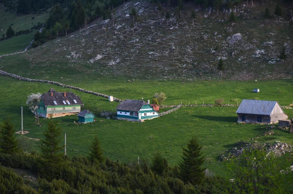Cheile Gradistei Fundata Resort Екстериор снимка